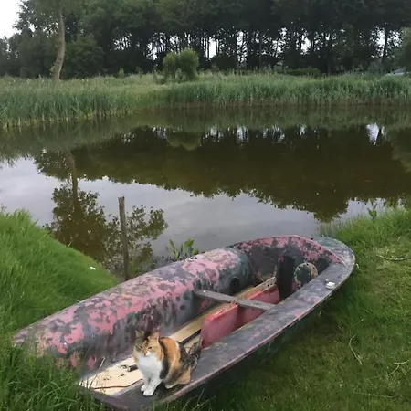 Logies De Meerkoet