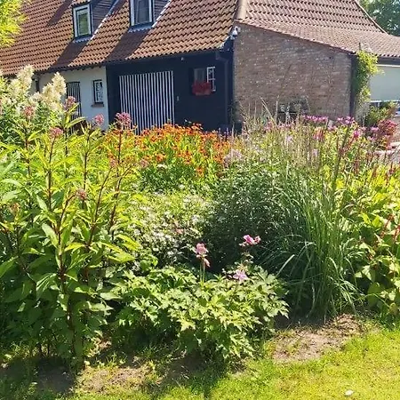 Logies De Meerkoet
