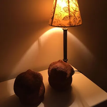 Logies De Meerkoet Panzió *